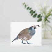 Frage: Wachtel/Karton Postkarte (Stehend Vorderseite)