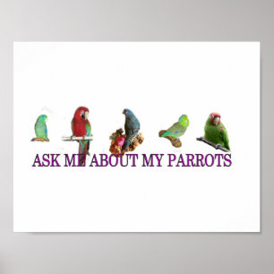 Fragen Sie mich über meine Papageien Poster