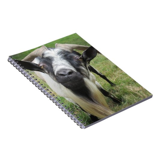 Fragen von Minds Notizblock (Rechte Seite)