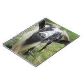 Fragen von Minds Notizblock (Linke Seite)