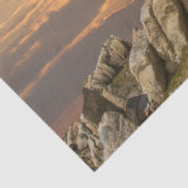 fragend Angelgenpapier Seidenpapier (Detail)