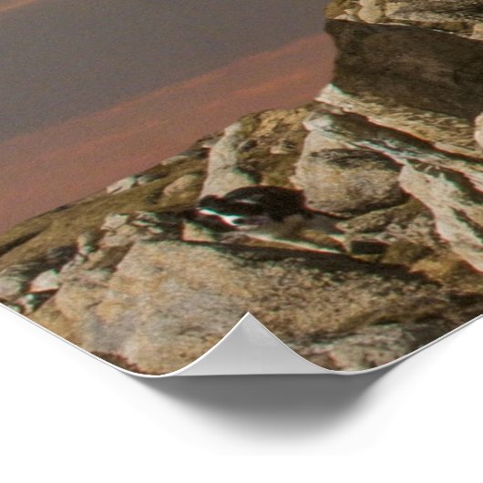 fragend Engelposter Poster (Ecke)