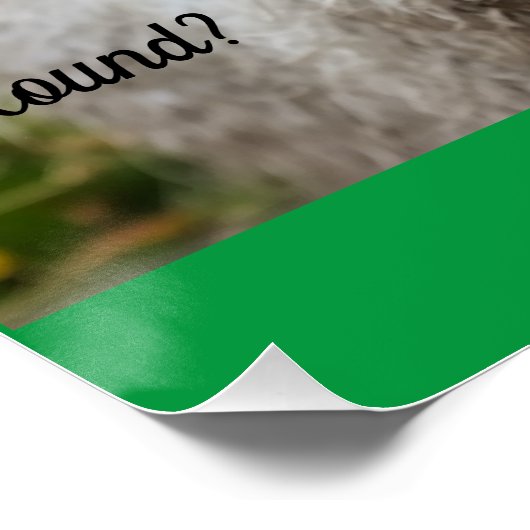 Frageposter für Schafe Poster (Ecke)