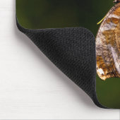 Fragezeichen-Schmetterling Mousepad (Ecke)