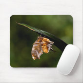 Fragezeichen-Schmetterling Mousepad (Mit Mouse)