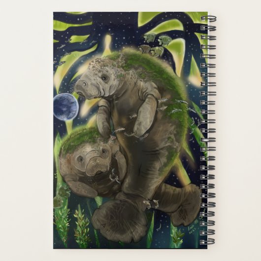 Fragile Balance Manatee Planer (Rückseite)