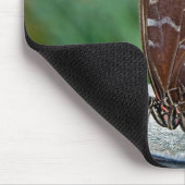 Fragile Beauty Mousepad (Ecke)