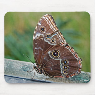 Fragile Beauty Mousepad