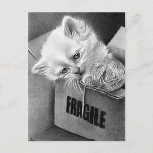 Fragile Kitty Box Postkarte (Vorderseite)