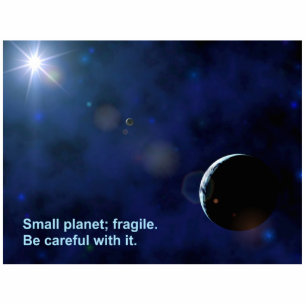 Fragile Planet Fotoskulptur Magnet