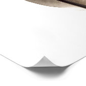 Fragile weiße Feder Poster (Ecke)