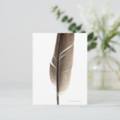 Fragile weiße Feder Postkarte (Stehend Vorderseite)