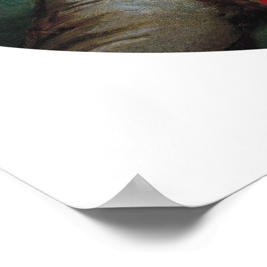 Fragonard Portrait of Young Woman Art Print Poster (Ecke)