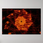 Fragrant Blossom Poster (Vorne)