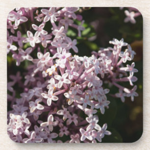 Fragrant Lilac Getränkeuntersetzer