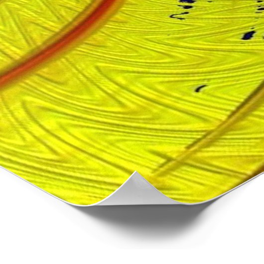 Fraktal Art. 41 Poster (Ecke)