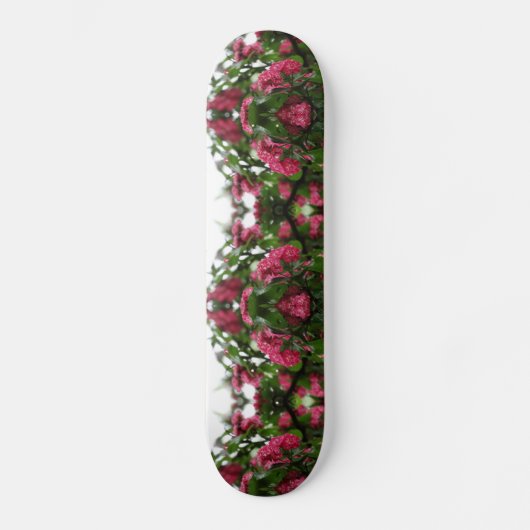 Fraktal Blume Mind Skateboard (Vorderseite)