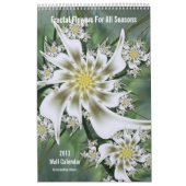 Fraktal-Blumen-Wandkalender 2013 Kalender (Titelbild)