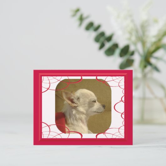 Fraktal Chihuahua Postcard Postkarte (Stehend Vorderseite)