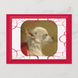 Fraktal Chihuahua Postcard Postkarte