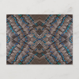 Fraktal Design Pheasant Feather Postkarte