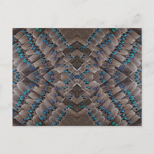 Fraktal Design Pheasant Feather Postkarte (Vorderseite)