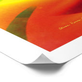 Fraktal Fantasy 15 Poster (Ecke)