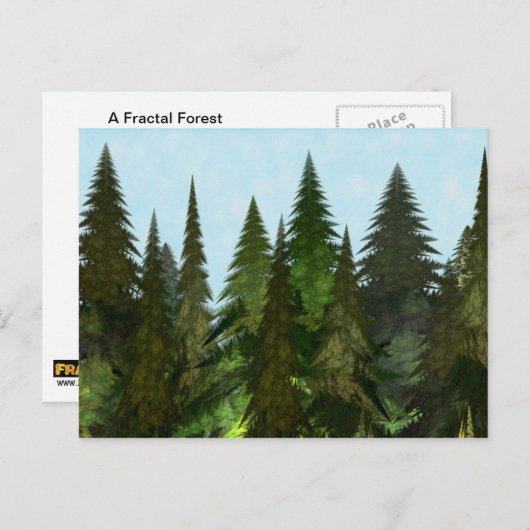 Fraktal Firs Postkarte (Vorne/Hinten)