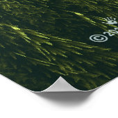 Fraktal Forest Poster (Ecke)