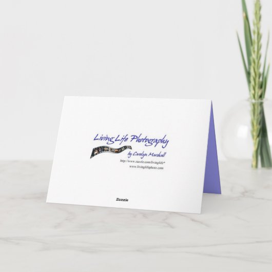 Fraktal Happy Birthday Card Karte (Rückseite)