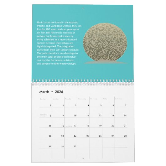 Fraktal Kalender (Mär 2026)