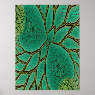 Fraktal Leaf Detail Poster