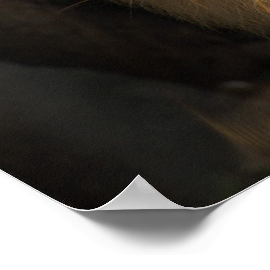 Fraktal Poster (Ecke)