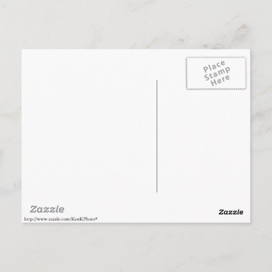 Fraktal "Quadra" Postkarte (Rückseite)