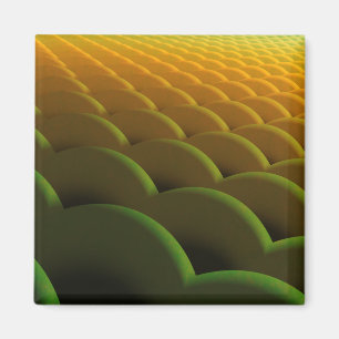 Fraktal Scales Magnet