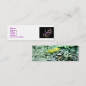 Fraktal-Zdendz, Visitenkarte (Vorne/Hinten)