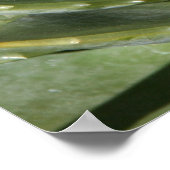 Fraktale der Natur Poster (Ecke)