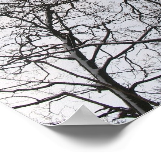 Fraktale in Nature: Crows Foto Poster Art (Ecke)