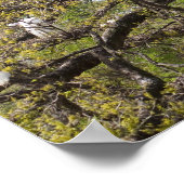 Fraktion Poster (Ecke)