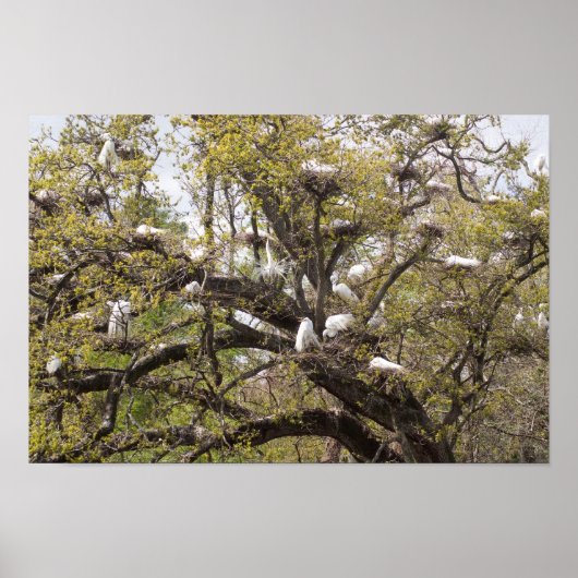 Fraktion Poster (Vorne)