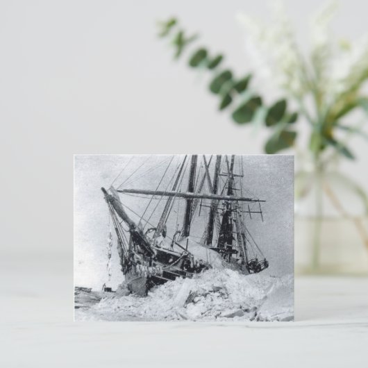 Fram, Nansen's ship, in polar ice Postkarte (Stehend Vorderseite)