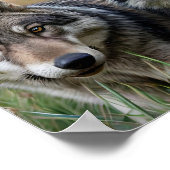 Frame TV Art Poster (Ecke)