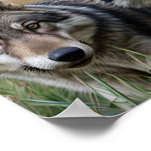 Frame TV Art Poster (Ecke)