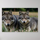 Frame TV Art Poster (Vorne)