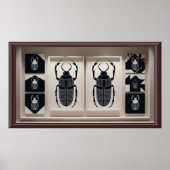 Frame TV Pharaonic Poster (Vorne)