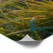 Frame TV Samsung Poster (Ecke)