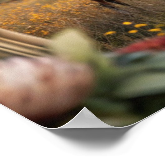 Frame TV Samsung Poster (Ecke)