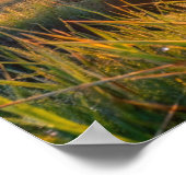 Frame TV Samsung Poster (Ecke)