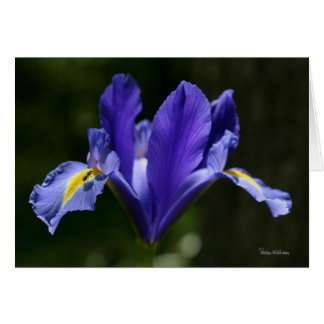 Frameable Kunst-Karte