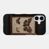 Framed Moth Specimen Dark Academia Case iPhone 16 Hülle (Rückseite (Horizontal))